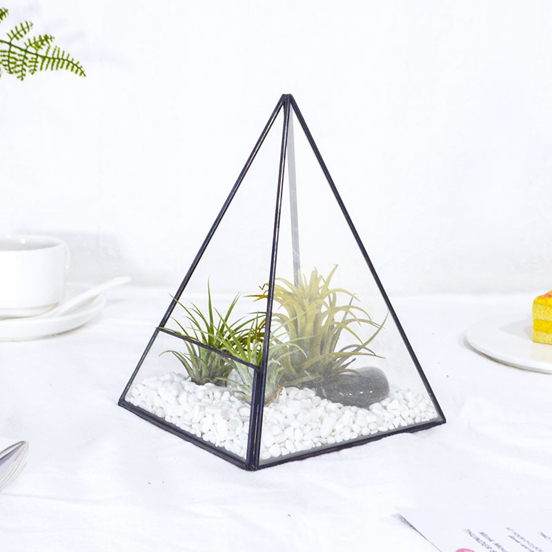 Carlo Transparent Pyramid Glass Flower House Meat Plant Glass Pot Micro-landscape Ecological Bottle Potted Glass