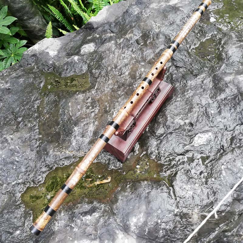 Autesea dongle flute instrument beginner Zizhu dongxiao xiao refined six octave Xiao Longfeng professional playing xiao-Taobao