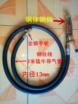 Pure copper guide air gun Liquefied petroleum gas punch air gun Gas dual-use guide air gun self-closing valve inflatable tube Bull brand