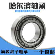 Full complement cylindrical roller bearing SL18 NCF 3006 3007 3008 3009 3011 Harbin 3012 China