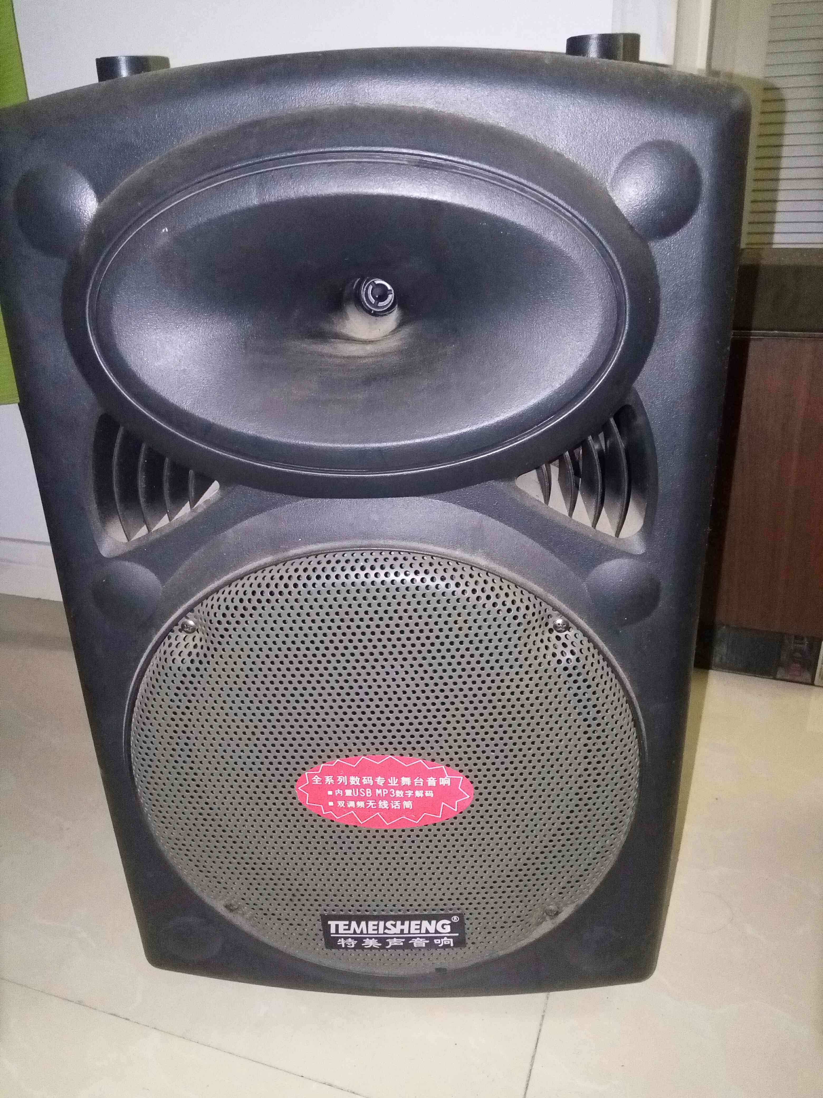 特美声舞台专业音响USB双调频收音机mp3