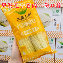Large Dong Dang and sweet glutinous corn 550g * 10 sticks quick-frozen white corn bagged corn stick sweet snacks staple food