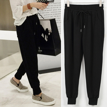 Hong Kong tide brand new Harun pants women's sweatpants in spring and autumn 2022