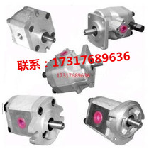 Taiwan gear pump PA5RD66PA6RD66 gear pump