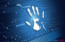 Please see the baby details for recharge SMS