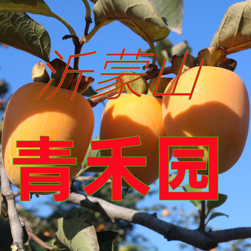沂蒙山青禾园