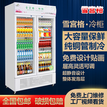 Double Door Straight Cold Fridge Beverage Cabinet Refreshment Cabinet Refrigerated Single Door Display Cabinet Commercial Supermarket Vertical Freezer Glass Door