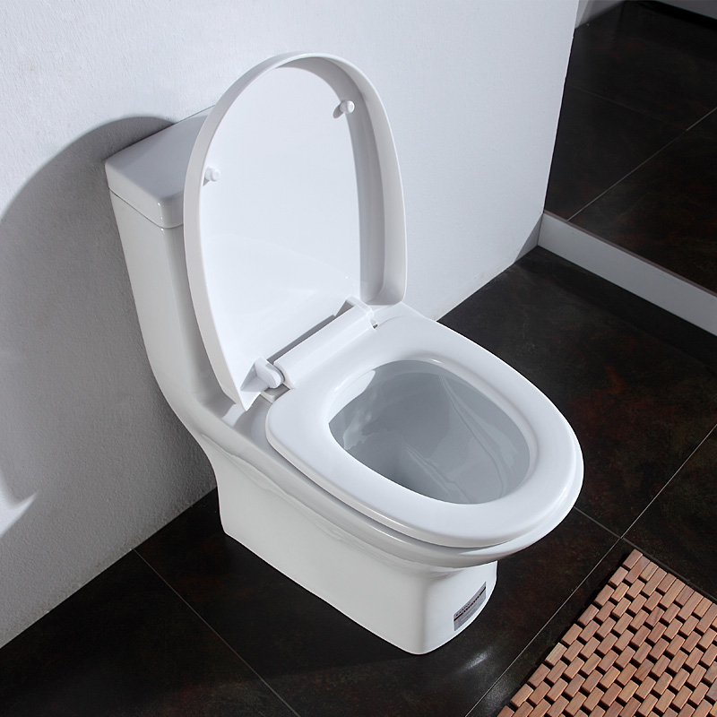 ��ӥ����ʽ�����������մ���Ͱky8806