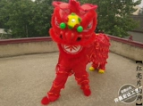 Новый взрослый двойной танец Lion Dance Props South Lion Dance, Lion Dance Props, Full Set Clothing Lion Performance