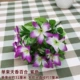Huizi trang trí nhà nhỏ gà nhảy hoa lan cúc giả hoa phòng khách giả hoa trang trí hoa đơn nhánh nhiều màu hoa lụa đặc biệt - Hoa nhân tạo / Cây / Trái cây chậu hoa giả để bàn