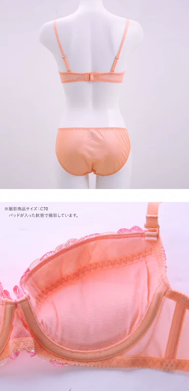 Shi Luohan Duo B-F size SHIROHATO Bộ áo ngực ren thêu dễ thương gợi cảm - Bộ đồ lót
