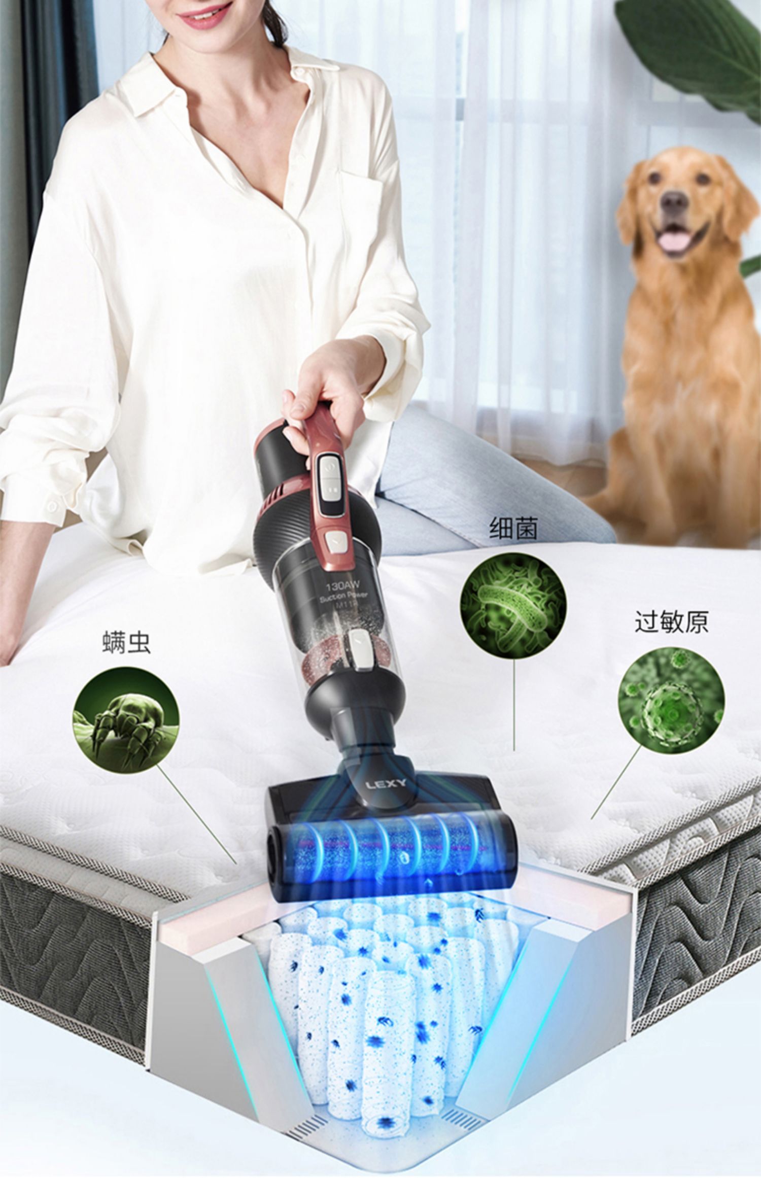 Máy hút bụi gia đình mạnh mẽ cầm tay lớn hút không dây công suất cao sạc cực êm M11R - Máy hút bụi 