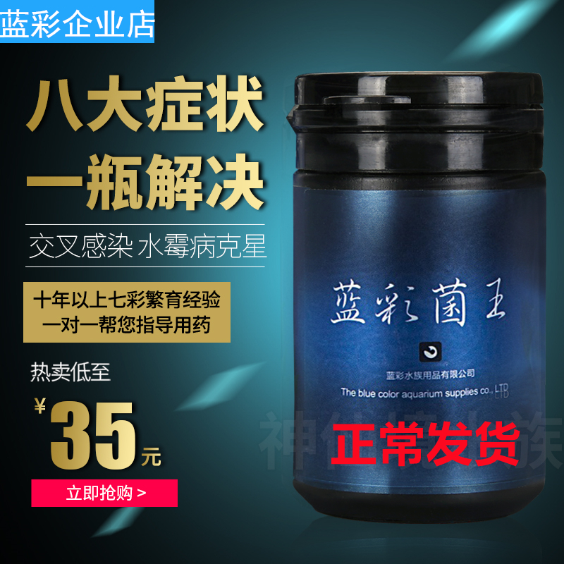 (Fish Symptoms Counseling) Blue colour fungus King Blue Colorful Fish Drug Seven Colorful Fairy drug cross infection with water moldy white mullet eye-Taobao
