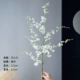 Big Branch Wenxin Lan 【одиночная ветвь】 белый