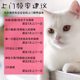 Chengdu pet foster care cat care service National Day and Spring Festival holiday business trip foster care shoveling poop and feeding cats