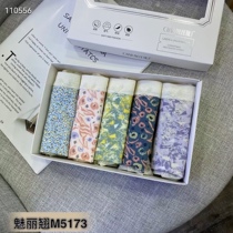 The Phantom 5173-5 boxed pure cotton crotch antibacterial mid-waist lace printed teenage girl high open fork triangular trouser head