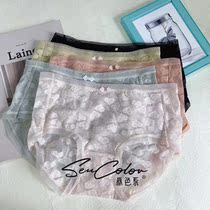 Dime Rey 805 Article 5 Dress Mesh Yarn Sexy Lace Pants Woman Hollowed-out Cotton Crotch Mid-Waist Girl Triangle Pants