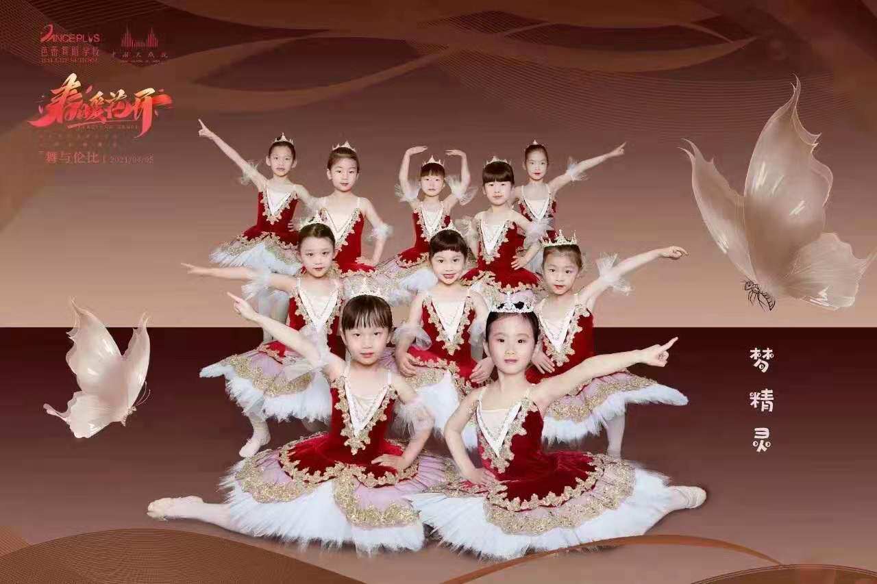 New professional ballet skirt adult children's dance skirt red tutu skirt Don Quixote costume TUTU skirt