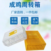  Adult chicken turnover transport cage Chicken cage household plastic turnover box breeding cage duck cage goose pigeon poultry rabbit cage basket