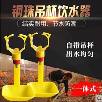  Chicken steel ball siamese drinking water chicken with integrated hanging cup automatic drinking water device Chicken automatic nipple drinking water device thickening