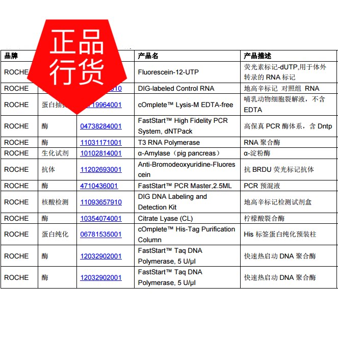 ROCHE 分子试剂 4738284001 高保真酶 PCR 试剂盒，含 dNTPs