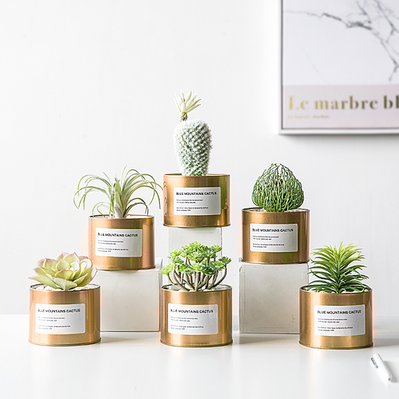 Small Potted Plant Pendulum simulation Multi-meat plant Fake Flowers Tabletop Mini Nordic Green Planting Nets Red TV Wall Soft Decorations