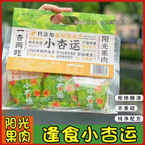 Fengshi Xiaoxingyun Dried Apricot Bags 238g No Additive Original Fresh Fruit Dried Fruit Pregnant Snacks