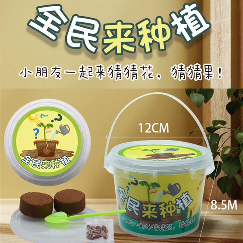 Children planting small potted hydroponic succulent green plants kindergarten observation plant growth small flower baby student homework