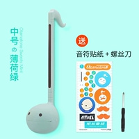 [Предпродажа] Средний мятно-зеленый