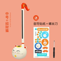 [Предварительная продажа] Средний размер - Lucky Cat