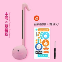 【Предварительная продажа】 Клубничный порошок среднего размера