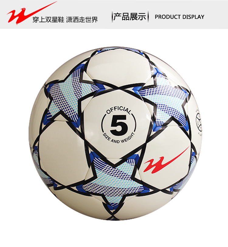 Ballon de football - Ref 6419 Image 12