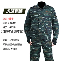 Tiger Spot Classic【Activity】Выпущен 1 комплект