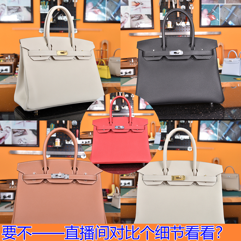 B25 Fully Hand-Stitched German Van Halem Togo Leather H30 Platinum Bag