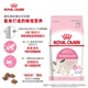 Royal Cat Food Nuôi mèo mẹ / Cai sữa mèo con BK34 / 10KG Bánh sữa dinh dưỡng Thức ăn cho mèo - Cat Staples