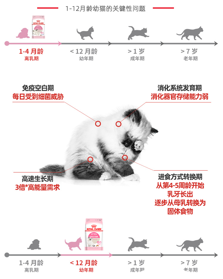 皇家貓糧小奶罐幼貓糧貓奶糕孕貓離乳期斷奶貓糧幼貓增肥營養官方