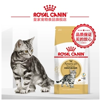 Royal Canin Royal Cat Thực Phẩm Mỹ Ngắn Thức Ăn cho Mèo ASA31 2 KG Mèo Thực Phẩm Chính Mỹ Ngắn Cát Thực Phẩm Cách mix hạt cho mèo
