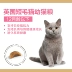 Royal Cat Food British Short Cat Thực phẩm BSK38 10KG Anh Shorthair Thức ăn chính 28 Tỉnh