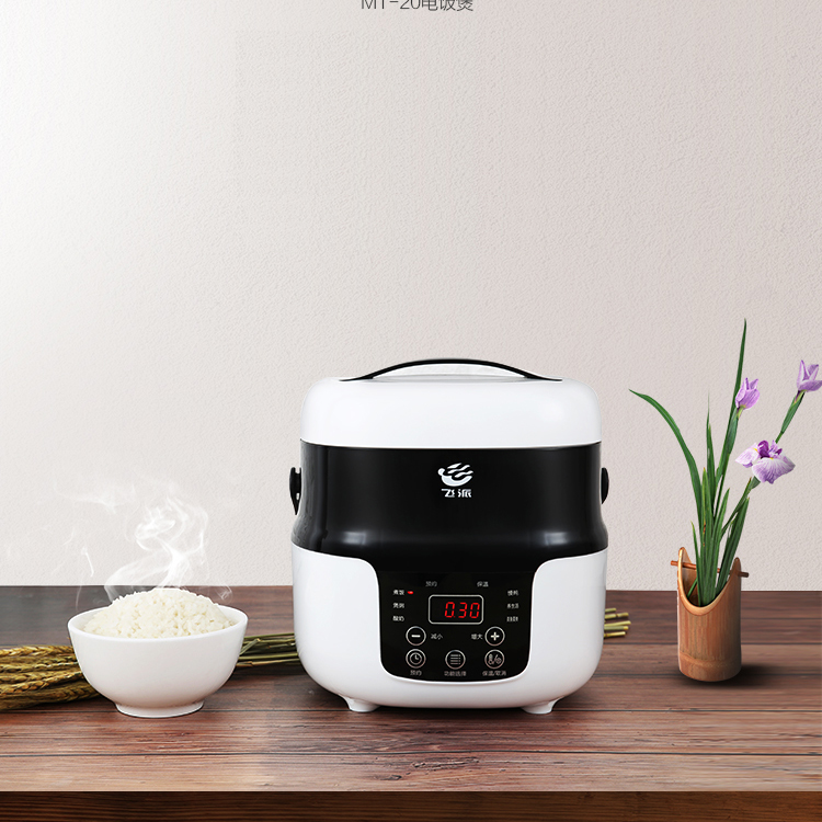 Smart electric cooker household mini rice cooker timing reservation multi-functional cooking non-stick 2-3 people Feipai mt20
