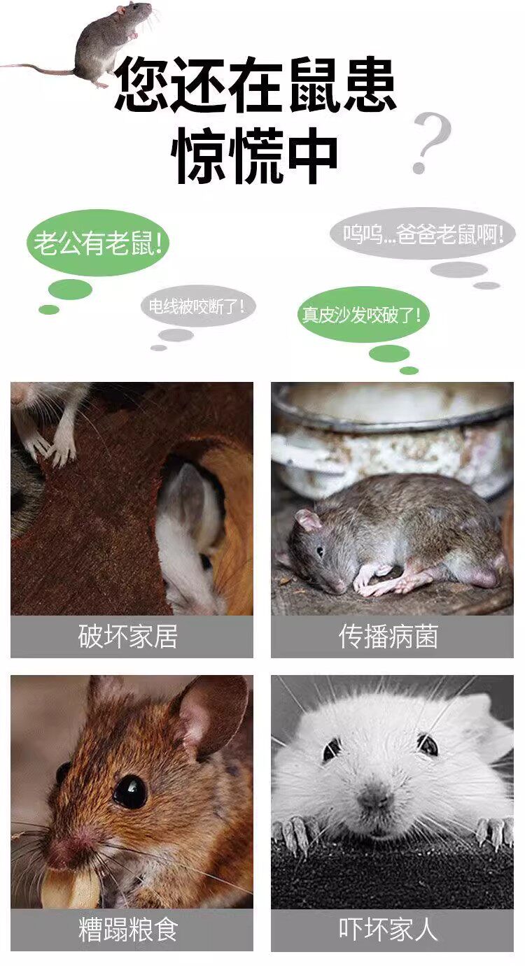 товар из китая 家用捕鼠笼老鼠笼捕鼠器捕鼠耗笼捕鼠夹捕鼠神器全自动高效一窝端 3