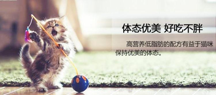 Đồ ăn nhẹ cho mèo Inabao tuyệt vời 啾 5 gói 20 thành một con mèo mèo chất lỏng mèo pudding cá tươi gói thức ăn ướt - Đồ ăn nhẹ cho mèo 	đồ ăn vặt cho chó mèo