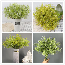 Gypsophila flower single hipster decoration flowers indoor living room dining room wedding flower bouquet