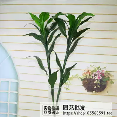 Simulation rich bamboo Lucky bamboo pastoral country living room room fake flower silk flower decoration flower green plant floral art