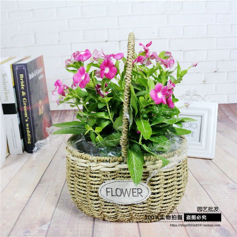 Wholesale Korean pastoral Straw flower basket European creative rattan portable fruit flower arrangement flower basket decorative wicker