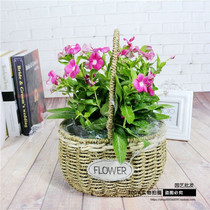 Wholesale Korean pastoral Straw flower basket European creative rattan portable fruit flower arrangement flower basket decorative wicker