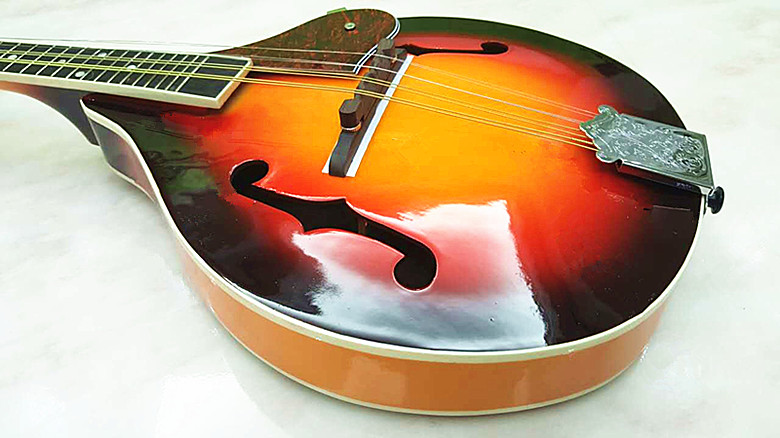Cửa hàng nhạc cụ rắn Mandolin Mandolin / Guitar Mandolin / Hoa Mandolin / Đặc biệt - Nhạc cụ dân tộc sáo trúc mão mèo