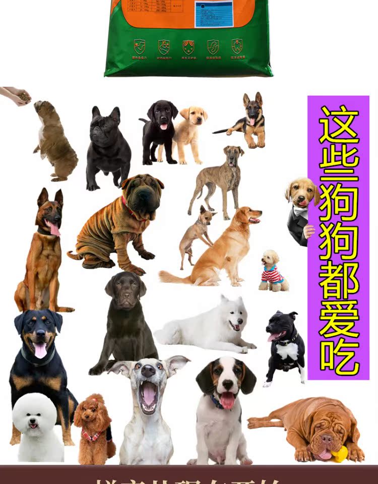 Thức ăn cho chó hạt thịt bò đôi chiến đấu Loại chung 40 kg Teddy Golden Retriever Husky Puppy vừa và chó lớn chó con chó con - Chó Staples thức ăn cho chó con 1 tháng tuổi