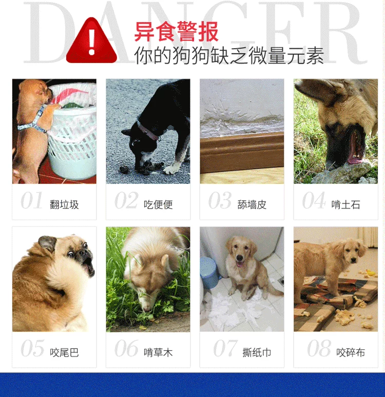 Pet Baiyuan con chó nguyên tố vi lượng Teddy Golden Retriever thú cưng mèo thành chó con để ăn phân đất thực phẩm phòng chống 200 viên - Cat / Dog Health bổ sung sữa cho chó 6 tháng	