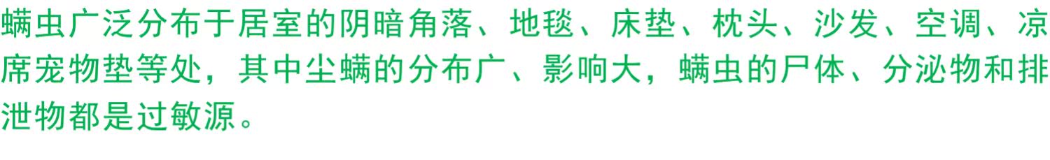 bình xịt côn trùng của mỹ	 Cào cào Nhật Bản bọ ve mạt giường côn trùng giết mạt mat để mạt không châu chấu phun 5 miếng - Thuốc diệt côn trùng 	bình xịt muỗi bao nhiêu