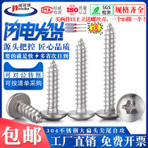 304 stainless steel M3 large flat head self-tapping screw M4 semicircular head cross self-tapping nail M5 large umbrella head wood screw M6